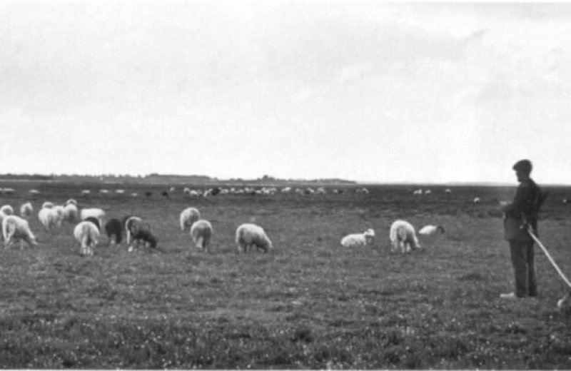 Een stukje geschiedenis