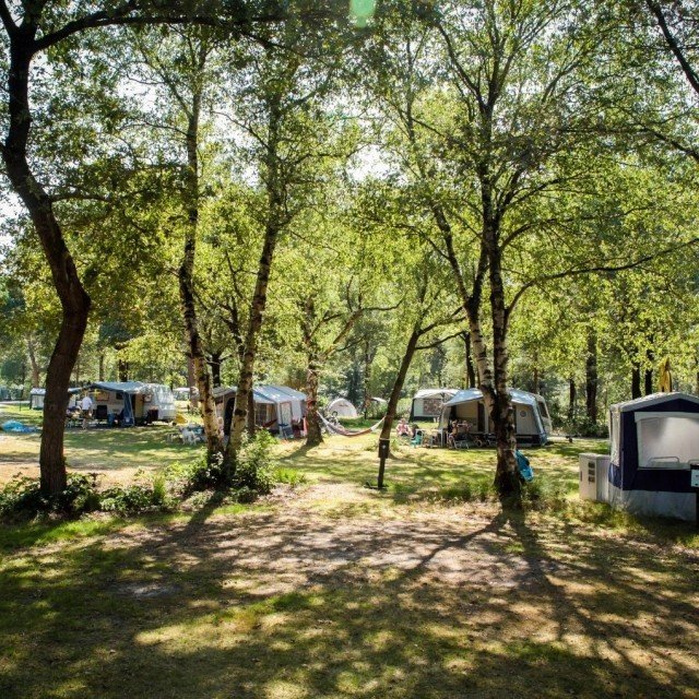 Voorseizoenplaats 2026