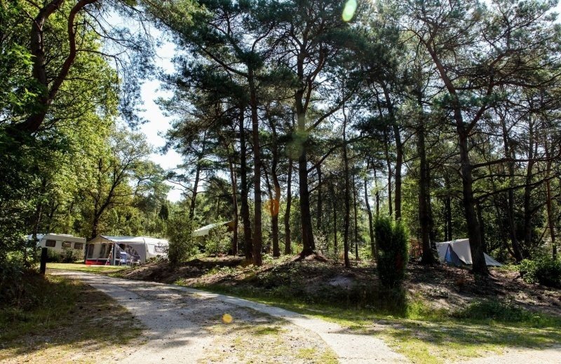 Meivakantie-Hemelvaart-Pinksteren