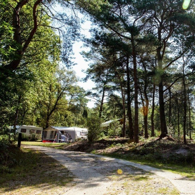 Meivakantie-Hemelvaart-Pinksteren