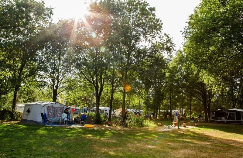 Natuurcamping drenthe berenkuil