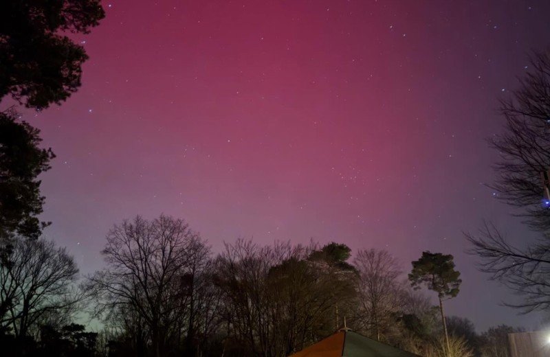 Noorderlicht berenkuil 3